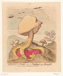 Ifjabb William Pitt karikatúrája, 1791 Egy excrescence; - egy gomba; -alias- egy gombagomba a trágyadombon alkotó: James Gillray