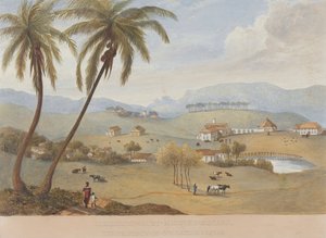 Haughton Court, Hannover, Jamaica [az egyik]