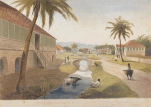 Holland Estate, St. Thomas in the East, Jamaica [az egyik ]
