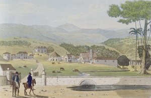 Montpelier Estates, St James, "A festői körút Jamaica szigetén" című filmből, Fielding metszet, 1824