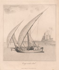 Canja Undersail alkotó: James Heath