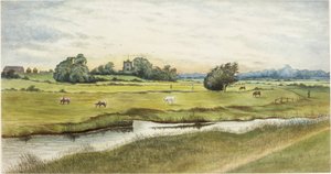 Ryton Meadows (akvarell és testfesték papíron)