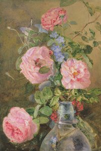 Roses, Convolvulus és Delphinium