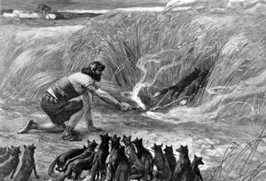 Sámson és a rókák J James Tissot - Biblia
