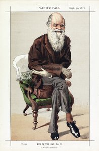 Charles Darwin, Men of the Day, No. 33, Natural Selection, a Vanity Fair, pub. 1871 alkotó: James Jacques Joseph Tissot