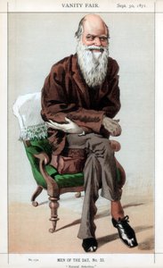 Természetes kiválasztás, 1871. alkotó: James Jacques Joseph Tissot