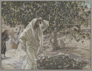 Az elátkozott fügefa, illusztráció a mi Urunk Jézus Krisztus életéből, 1886-94 (wc grafit fölött, papíron) alkotó: James Jacques Joseph Tissot