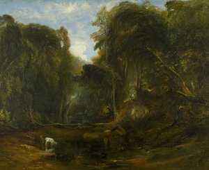 Nightingale Valley