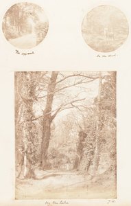 A megközelítés, az erdőben, a tó mellett, 1853-56.