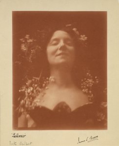 "A vágy": Yvette Guilbert portréja, 1896 alkotó: James L. Breese