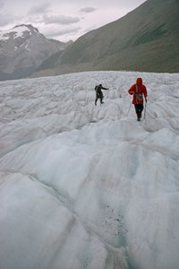 Két kikötözött hegymászó egy gleccseren közeledik egy hasadékhoz. Mount Robson Prov... alkotó: James L Stanfield