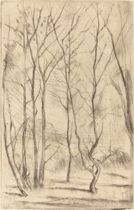 A Dam Wood alkotó: James Abbott McNeill Whistler