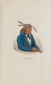 Egy fiatal miami törzsfőnök, az Aboriginal Portfólióból