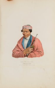 CAN-NO-SA-QUA; A Pottowattomie Chief, az Aboriginal Portfólióból alkotó: James Otto Lewis