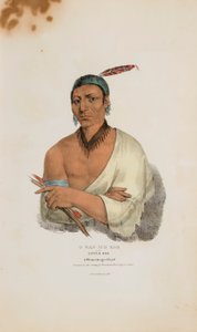 O-WAN-ICH-KOH vagy a Kis Elk; A Winnebago főnök, az Aboriginal Portfólióból