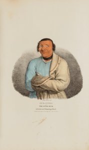 SHE-SHEBA vagy a kis kacsa; Egy híres winnebagói főnök, az Aboriginal Portfólióból alkotó: James Otto Lewis