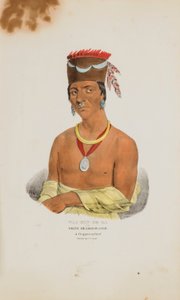 WAA-BIN-DE-BA vagy a Fehérfejű Sas; A Chippeway Chief, az Aboriginal Portfólióból alkotó: James Otto Lewis