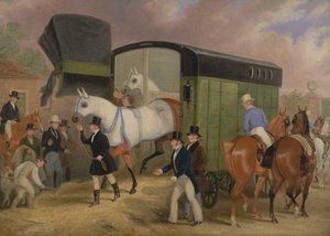 The Derby Pets: The Arrival alkotó: James Pollard