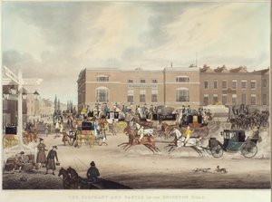 Az elefánt és a kastély a Brighton Roadon alkotó: James Pollard