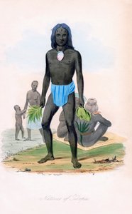Tilcopia szülöttei, 1850 körül. alkotó: James Prichard