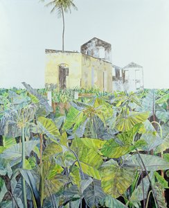 Rom a mocsárban, Haiti, 1971