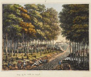 A Foret de Soignes széle, az „An Historical Account of the Battle of Waterloo”, 1817 (színes akvatinta)