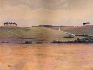 „Chobham Common”, 1911, 1914 alkotó: James S Ogilvy