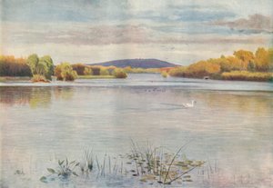 „Vachery-tó”, 1911, 1914