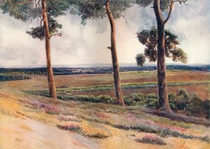 „Kilátás a Staple Hillről”, 1911, 1914 alkotó: James S Ogilvy