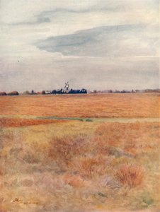 „Wimbledon Common”, 1912, 1914