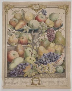 1732 novembere