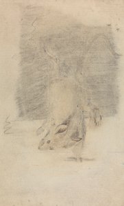 Egy egér alkotó: James Sowerby