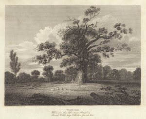 Robert Bloomfield, költő: Wake