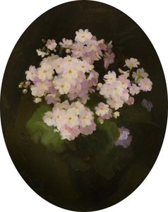Primulák, XX. század (olaj, vászon) alkotó: James Stuart Park