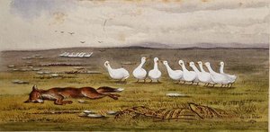 Róka és liba játéka alkotó: James W. Usher