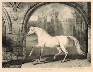 Egy perzsa ló a „Celebrated Horses”-ból, a művész által kiadott tizennégy versenynyomatból álló sorozat, 1823-24