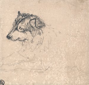 Sarkkutya, balra néző alkotó: James Ward