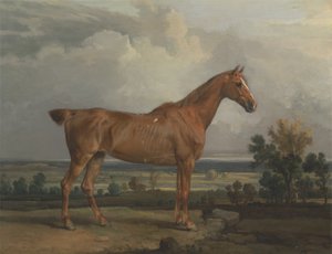 Vadász a tájban alkotó: James Ward