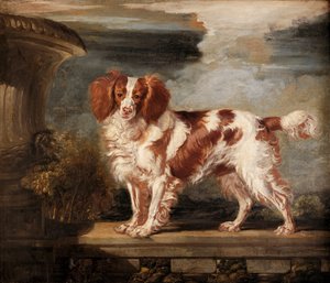 Dash, a kedvenc spániel portréja, Lady Frances Vane-Tempest tulajdona alkotó: James Ward