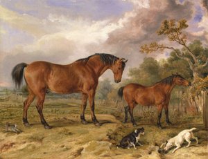 Reformer, Blucher, Tory és Crib portréja, Rowland Alston tulajdona, Esq., M.P. [1836, Royal Academy of Arts, London, kiállítási katalógus] alkotó: James Ward