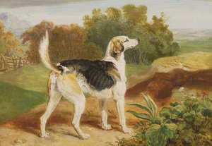 Ravager, az egyik Lambton Hounds (olaj a panelen) alkotó: James Ward