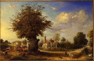 A Yeldham-tölgy Great Yeldhamben, Essexben, 1833