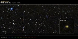 COSMOS-mező, MoM-z14 galaxis (NIRCam-felvétel) alkotó: James Webb Space Telescope (NASA)