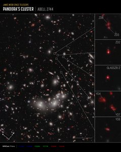 Galaxy Protocluster (NIRCam Compass Image) alkotó: James Webb Space Telescope (NASA)