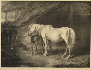 Primrose and Foal, a Celebrated Horses-ból, a művész által kiadott tizennégy versenynyomatból álló készlet, 1823-24 alkotó: James after Ward