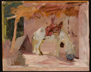 Pferd. Aus der Reise nach Turkestan