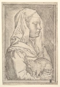 Lány macskával, 1546. alkotó: Jan Cornelisz Vermeyen