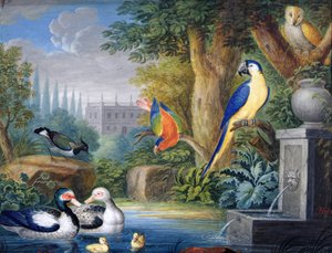 Egzotikus madarak egy díszkertben, 1650 körül (gouache, papír)
