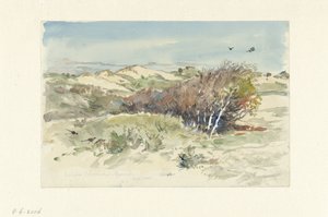 Dűne táj Bloemendaal és IJmuiden között