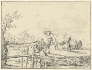 Tehenek a réten